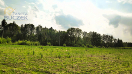 Sprzedam działki budowlane w Orłach Cesin Orły-Cesin - zdjęcie 2