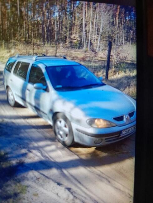 Renomeganka po lifcie kombi 1,616v Osiek - zdjęcie 3