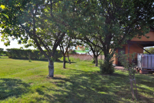 działka 5ar z altaną, zadbana, z drzewami owocowym Jędrzychowice - zdjęcie 5