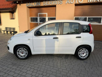 Fiat Panda 1,2 69KM  Klimatyzacja Orzech - zdjęcie 11