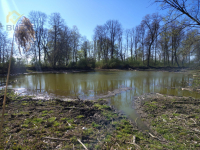 Działka na sprzedaż Sadowo Sadowo - zdjęcie 6