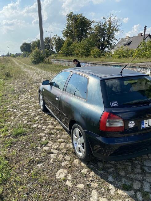 Audi A3 1.9TDI Pudliszki - zdjęcie 3