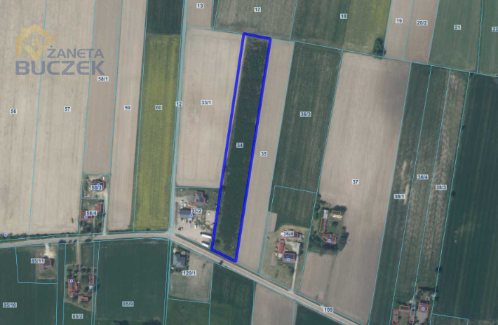 Na sprzedaż działka rolna w Starym Mikołajewie Mikołajew - zdjęcie 1