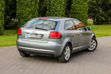 Audi A3 105KM Klimatronik Parktronik Lift Ostrów Mazowiecka - zdjęcie 3