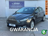 Ford Focus Pisemna Gwarancja 12 miesięcy