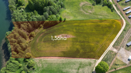 Piękna, duża działka z szeroką linią brzegową!!! Przerośl - zdjęcie 4