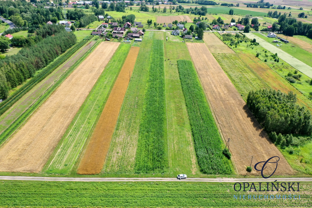 Ostatnie dostępne | MPZP | Inwestycja | Kulno - zdjęcie 2