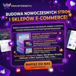 Strona WWW, która zarabia | Nowoczesne Sklepy i Serwisy | erainternetu