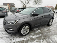 Opel Grandland X navi, automat, klimatronic, zarejestrowany! Zbąszyń - zdjęcie 10