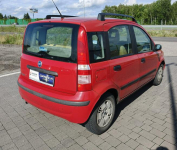 Fiat Panda Lipówki - zdjęcie 8