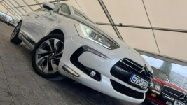 Citroen DS5 Zduńska Wola - zdjęcie 4