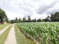 Działka z WZ, magazynowo - biurowe. Wysoczka - zdjęcie 5