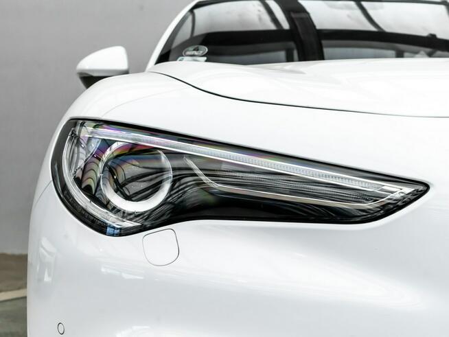 Alfa Romeo Poznań - zdjęcie 9