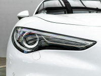 Alfa Romeo Poznań - zdjęcie 9
