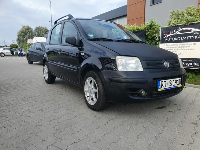 Fiat Panda 1.2 2008 z panoramą Turek - zdjęcie 3
