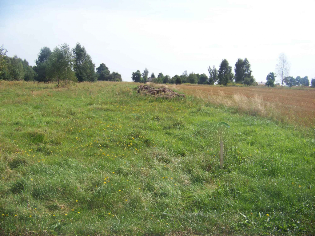 Działka na sprzedaż Dąbrowa gm. Mrozy Mrozy - zdjęcie 2