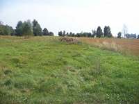 Działka na sprzedaż Dąbrowa gm. Mrozy Mrozy - zdjęcie 2