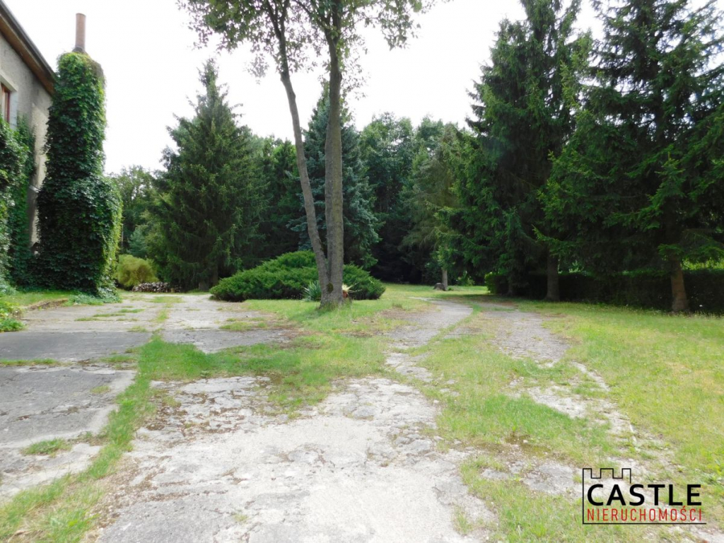 Miejsce na Twój biznes blisko  zachodniej granicy Jabłoniec - zdjęcie 3