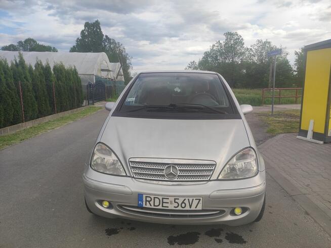Mercedes Benz A 170 1.7 CDI Wólka Niedźwiedzka - zdjęcie 2