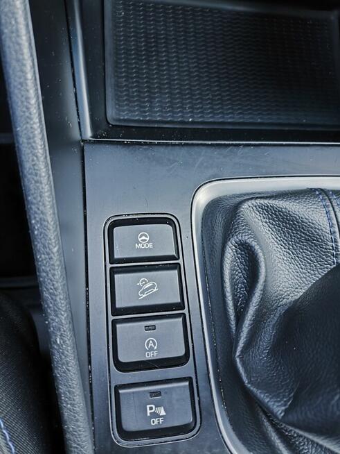 Sprzedam ładnego tucsona Tarnowskie Góry - zdjęcie 4