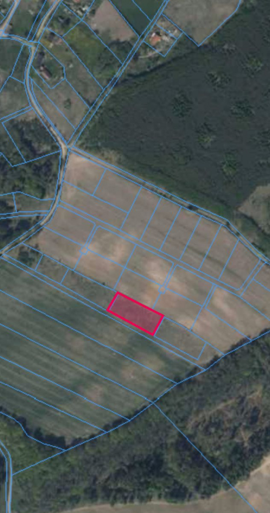 Działka|Blisko jeziora Dąbrowa Wielka Ostrowite - zdjęcie 3