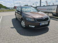 Škoda Octavia Lipówki - zdjęcie 6