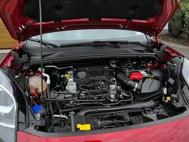 Ford Puma serwis ASO, nawigacja Rydułtowy - zdjęcie 9