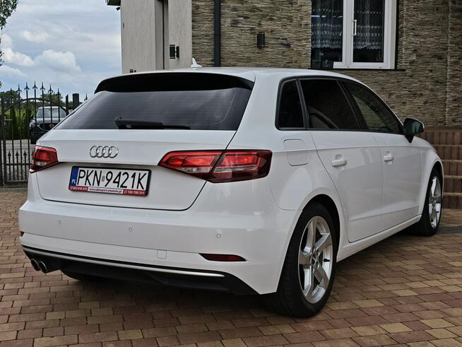Audi A3 Sadlno - zdjęcie 12