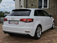 Audi A3 Sadlno - zdjęcie 12