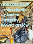 Czyszczenie mieszkań. Tel. 739568508 Śródmieście - zdjęcie 1