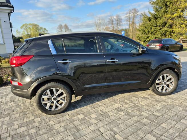 Kia Sportage kamera xenon navigacja skóra Import Francja bez korozji Drelów - zdjęcie 12