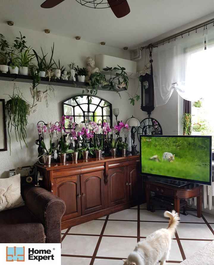 1pok, 33met, Okolice Lelewela BALKON/PIWNICA/PARKING (Wrocław) Stare Miasto - zdjęcie 1