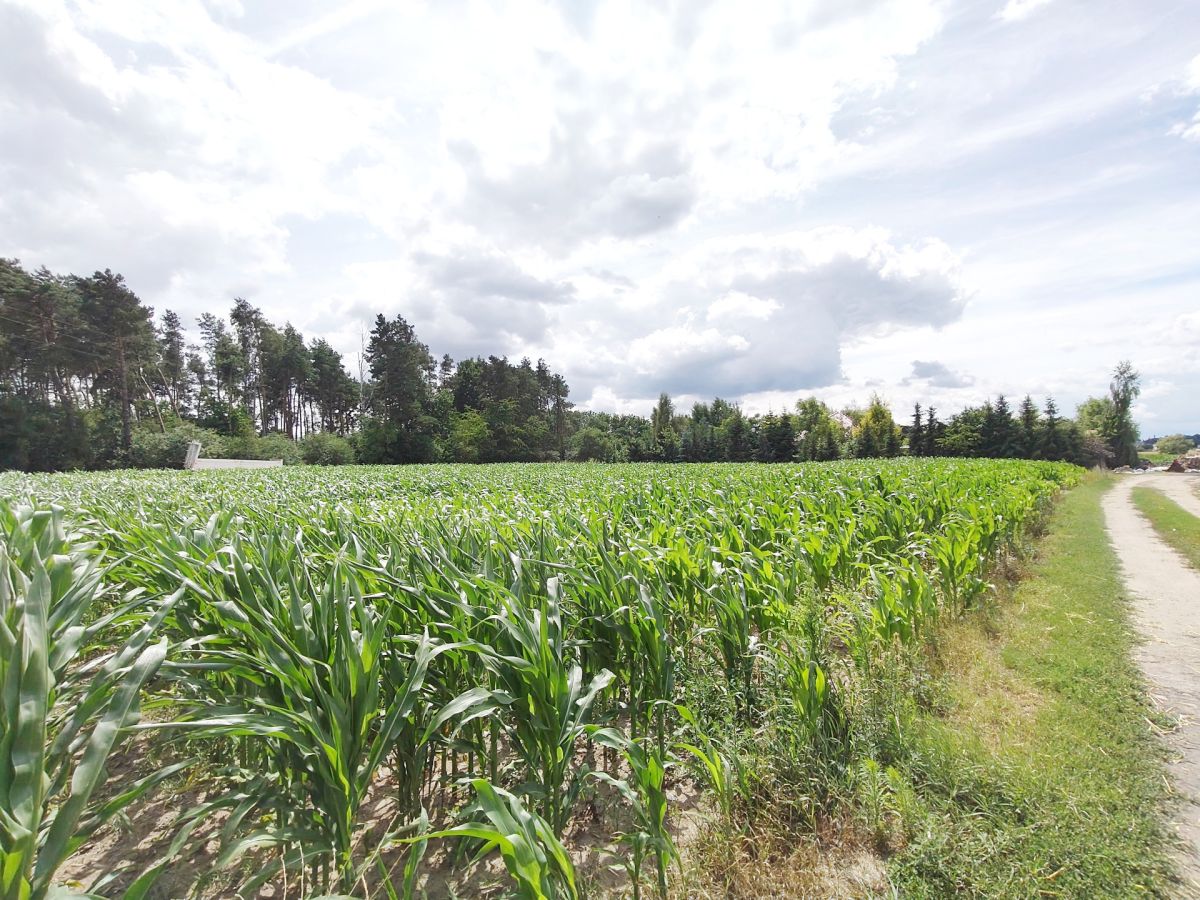 Działka z WZ, magazynowo - biurowe. Wysoczka - zdjęcie 3