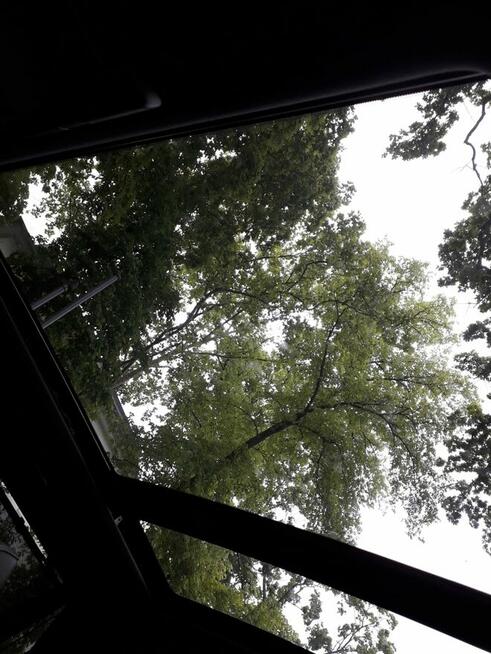 Sprzedam BMW e53 3.0 218 ps 3.5t hak Poznań - zdjęcie 11