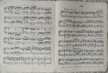 Szkoła Miechowania i Artykulacji Akordeonowej Szczecin - zdjęcie 4