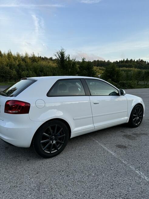 Audi A3 2.0 TDI DPF Ambition Cekcyn - zdjęcie 6