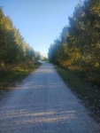sprzedam siedlisko Nowa Obra - zdjęcie 9