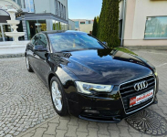 Audi A5 12/13r 177PS Navi Zadbany Rata800zł Śrem - zdjęcie 5