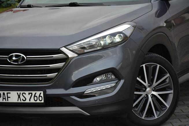 Ledy BiXenon Navi Kamera BLIS LKAS 2xPark. Alu19" ASO Hyundai Ostrów Mazowiecka - zdjęcie 7