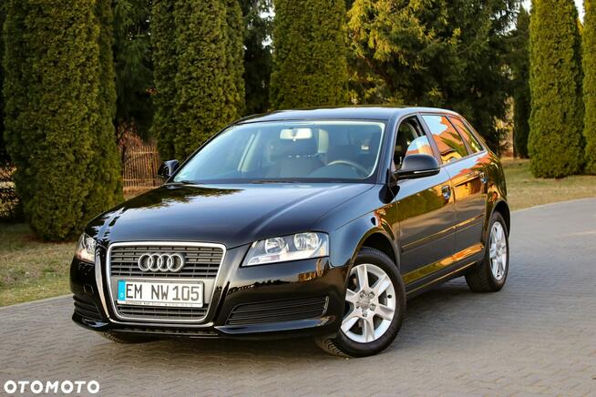 Audi A3 1.6MPI*102KM Ostrów Mazowiecka - zdjęcie 5