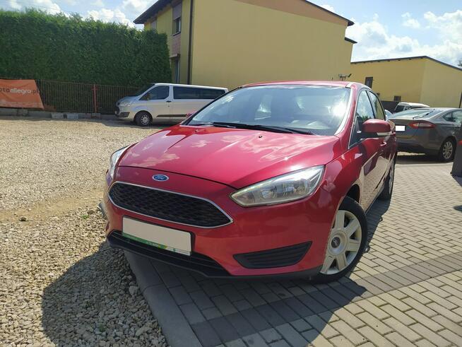 Ford Focus 2018, 1.6BEN+LPG, LED, KLIMA Chełm Śląski - zdjęcie 12
