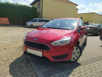 Ford Focus 2018, 1.6BEN+LPG, LED, KLIMA Chełm Śląski - zdjęcie 12