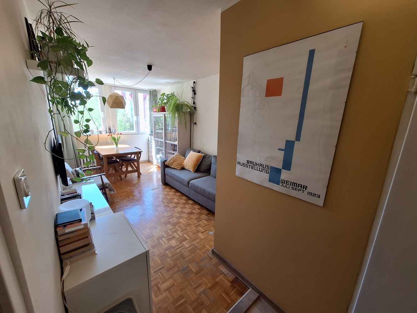 2pok, 38met, Okolice Lubińskiej PIWNICA (Wrocław) Stare Miasto - zdjęcie 3