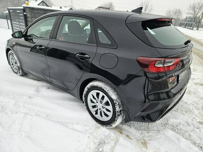 Kia Cee'd Polski salon, bezwypadkowy, gwarancja do 2028 roku Liszki - zdjęcie 6