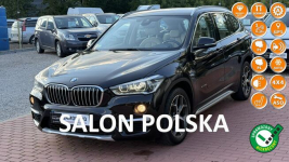 BMW X1 Salon, 1 Właściciel,Automat