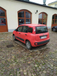 Fiat Panda Fiat Panda III, 1.2 Start&amp;Stop Easy Łowicz - zdjęcie 5