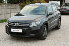 Volkswagen Tiguan 1.4tsi 125KM 2016r sinik na pasku rozrzadu Strzała - zdjęcie 5
