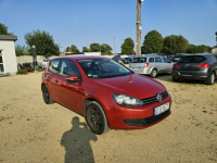 Volkswagen Golf 1.6 103 KM KLIMA, ELEKTRYKA, TEMPOMAT, PARKTRONIK Strzegom - zdjęcie 3