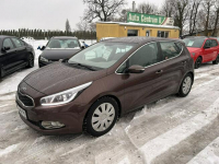Kia Cee'd Bezwypadkowy 1.6 benzyna polski salon Słupsk - zdjęcie 2