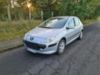 Peugeot 307 rej. 2006 1.4 Niski przebieg, Zadbany, Hak. Ostrów Wielkopolski - zdjęcie 1